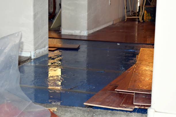 Professional Sewage Cleanup technician working in Roggen, CO